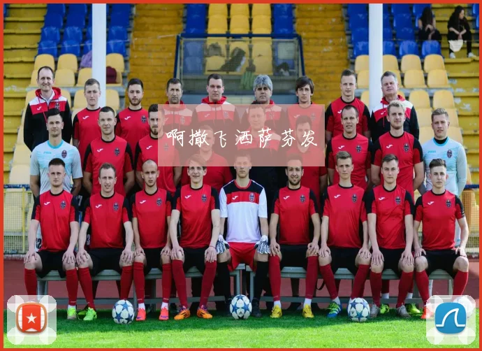 2018世界杯前四强预测引关注,赛事走向成为球迷焦点