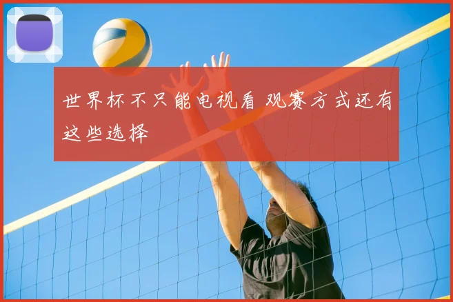 世界杯不只能电视看 观赛方式还有这些选择